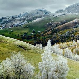 Meet your Posher, Eddie